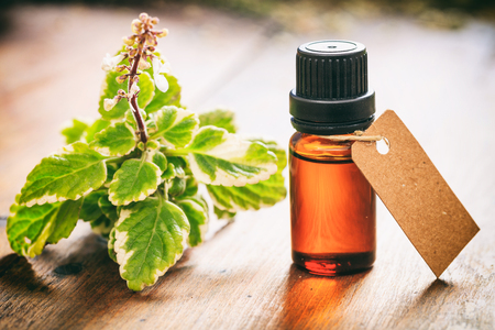Beauty Benefits of Tea Tree Oil